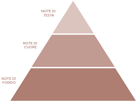 piramide olfattiva